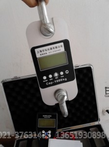 10噸測力計(jì),10噸測力計(jì)價(jià)格,10T測力計(jì)廠家